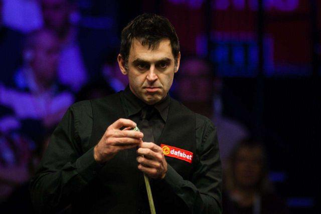 既服务专业 既服务专业