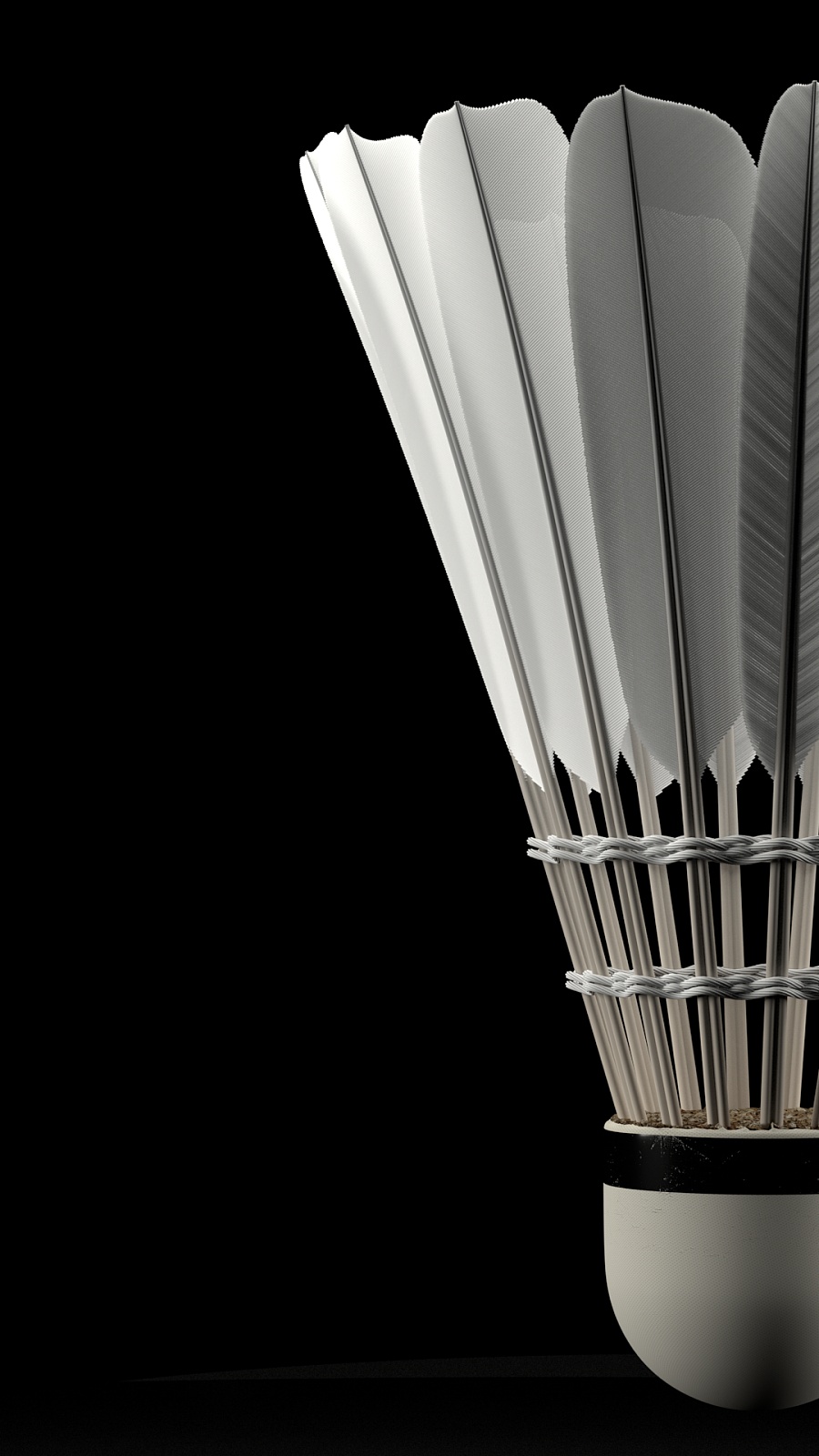 强化了其在 强化了其在