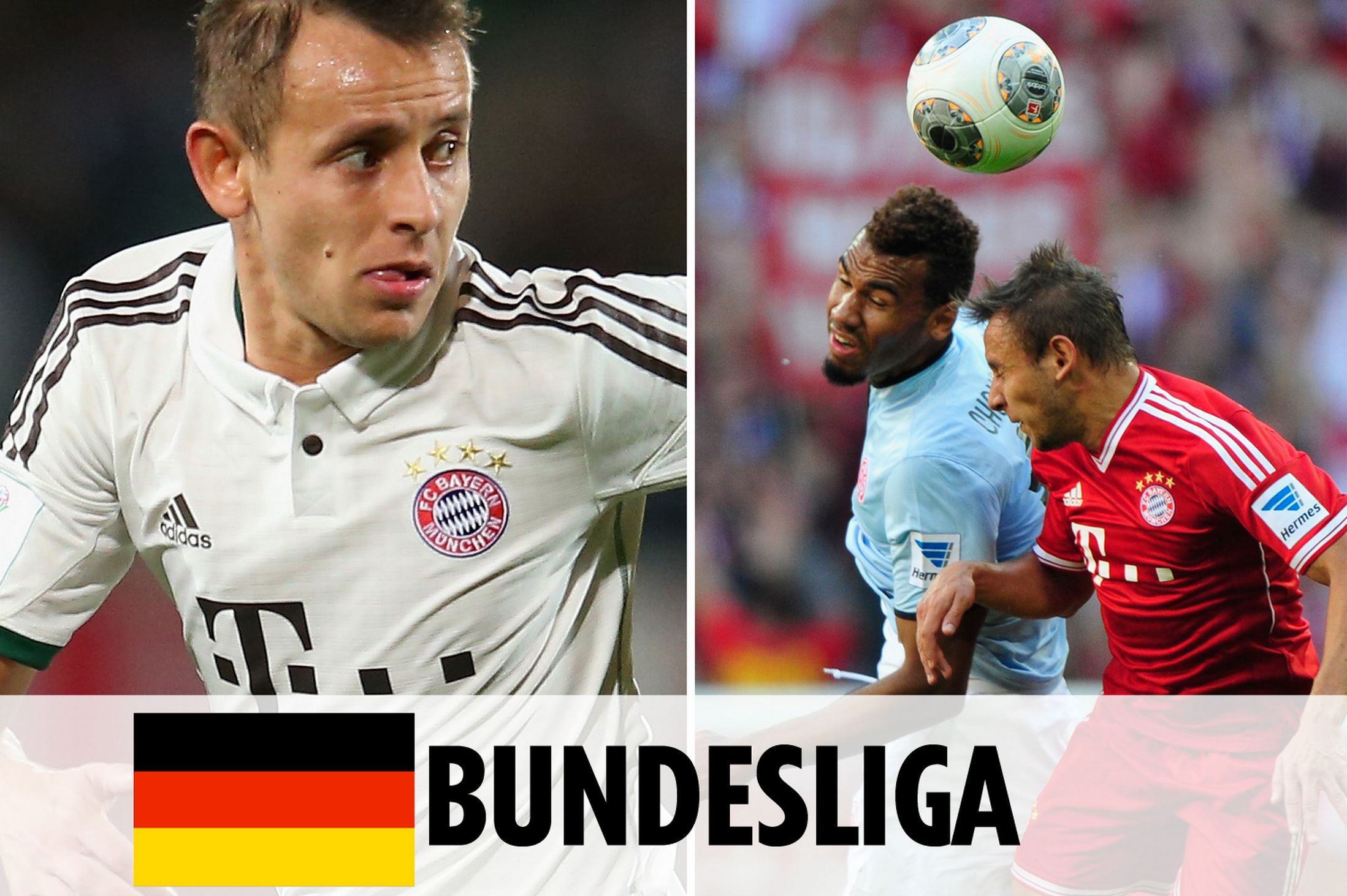 兼具的样本 兼具的样本